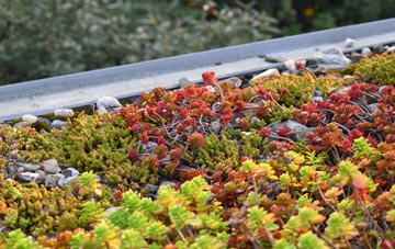 the cost of Furness Vale green roof installation