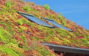 Furness Vale living roof systems
